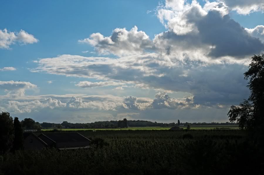 Fotografie