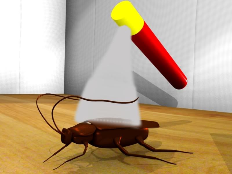 Cockroach Animation