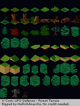 [Image: Forest-1.png]