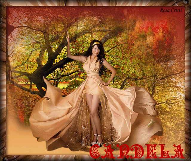 CANDELA-14.gif picture by rosacristi