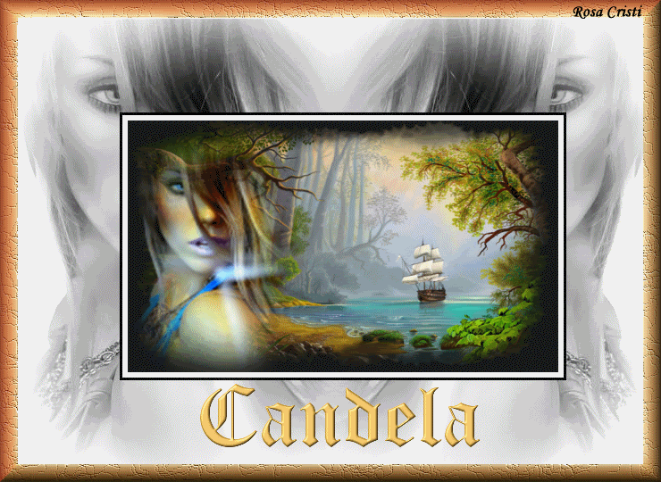 candela-9.gif picture by rosacristi