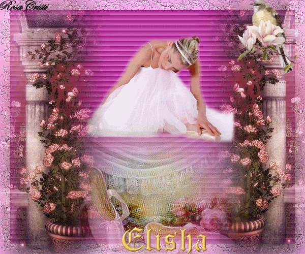 elisha-10.gif picture by rosacristi