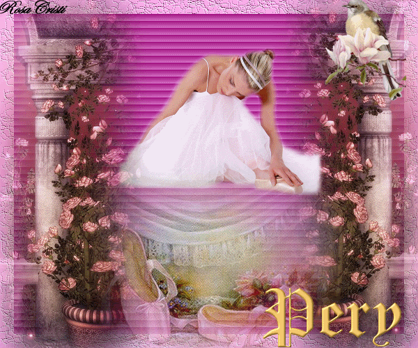 pery-9.gif picture by rosacristi