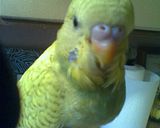 th_photo.jpg?t=1329839521