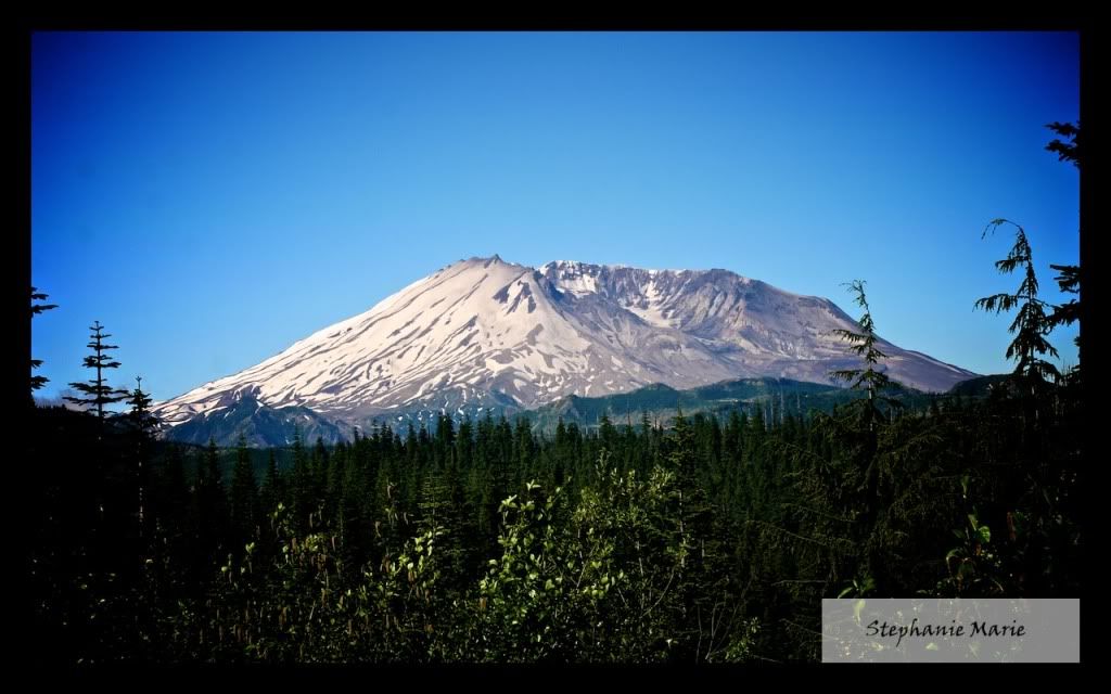 IMAGE: http://i739.photobucket.com/albums/xx34/photobug5880/Mt%20St%20Helens/IMG_4853-Version2.jpg