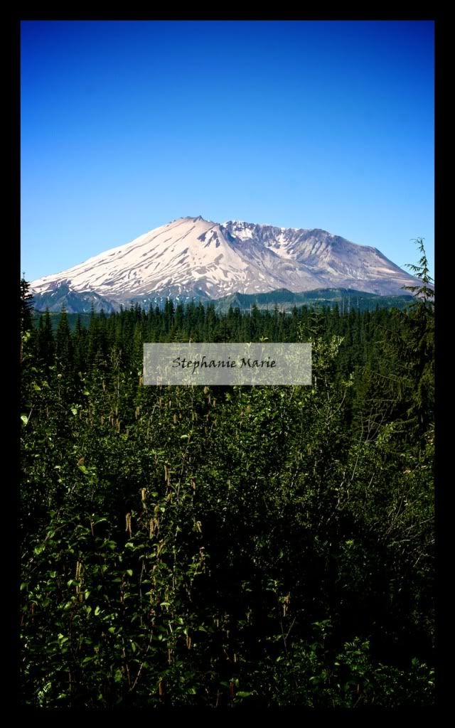 IMAGE: http://i739.photobucket.com/albums/xx34/photobug5880/Mt%20St%20Helens/IMG_4854-Version2.jpg