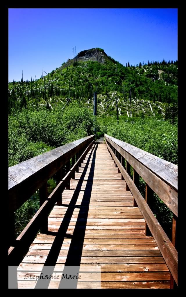 IMAGE: http://i739.photobucket.com/albums/xx34/photobug5880/Mt%20St%20Helens/IMG_4915-Version2.jpg
