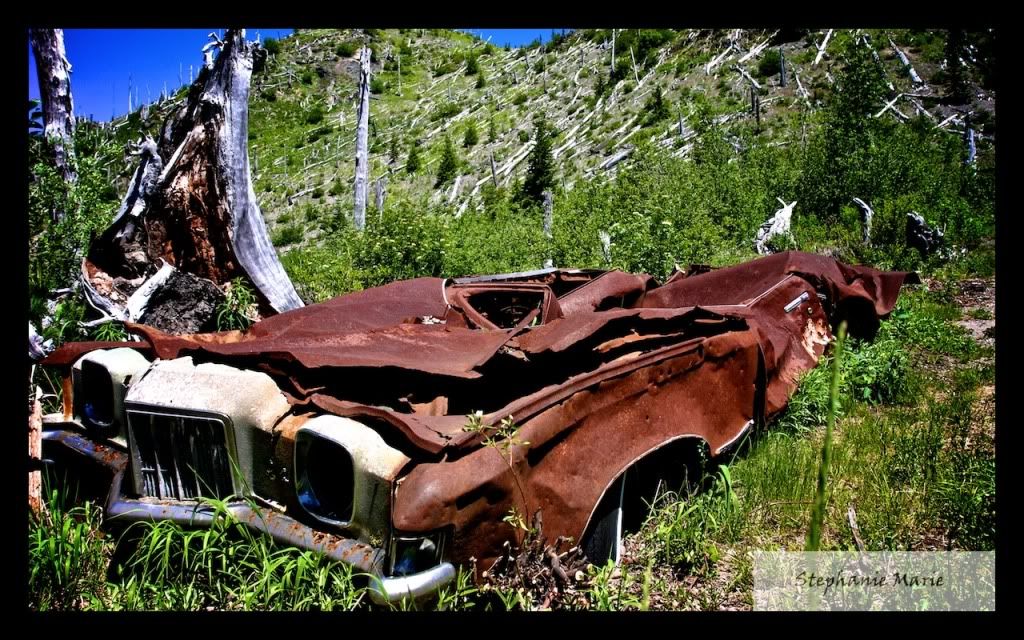 IMAGE: http://i739.photobucket.com/albums/xx34/photobug5880/Mt%20St%20Helens/IMG_4922-Version2.jpg