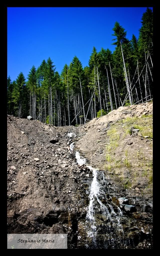 IMAGE: http://i739.photobucket.com/albums/xx34/photobug5880/Mt%20St%20Helens/IMG_4937-Version2.jpg