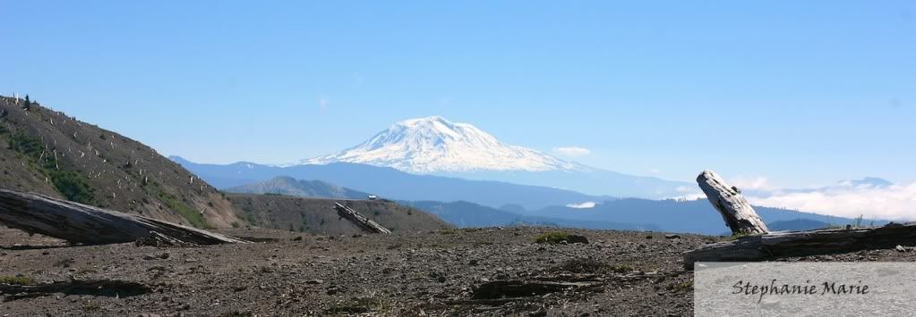 IMAGE: http://i739.photobucket.com/albums/xx34/photobug5880/Mt%20St%20Helens/MtAdams-Version2.jpg