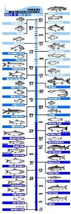 Fish thermometer chart