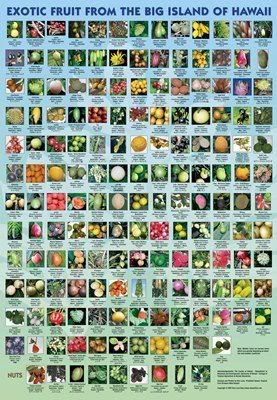 poster of exotic fruits of hawaii with name,image,and season