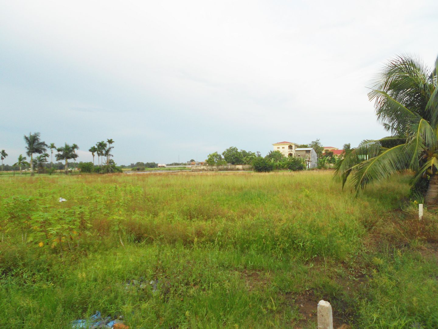 Đất thổ - thổ vườn 8000m2- có thể tách nhỏ - 3