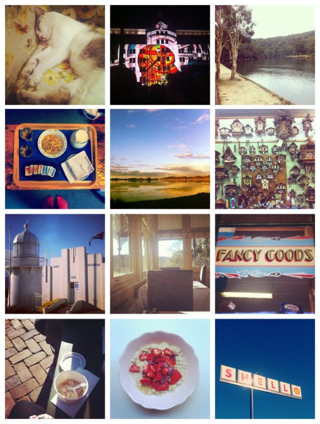 instagram_june_snapshots_mckeanstudio