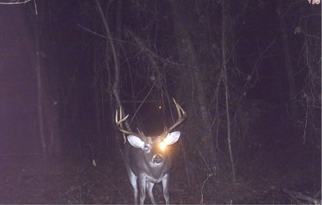 DGC_0090.jpg picture by SouthernHunter