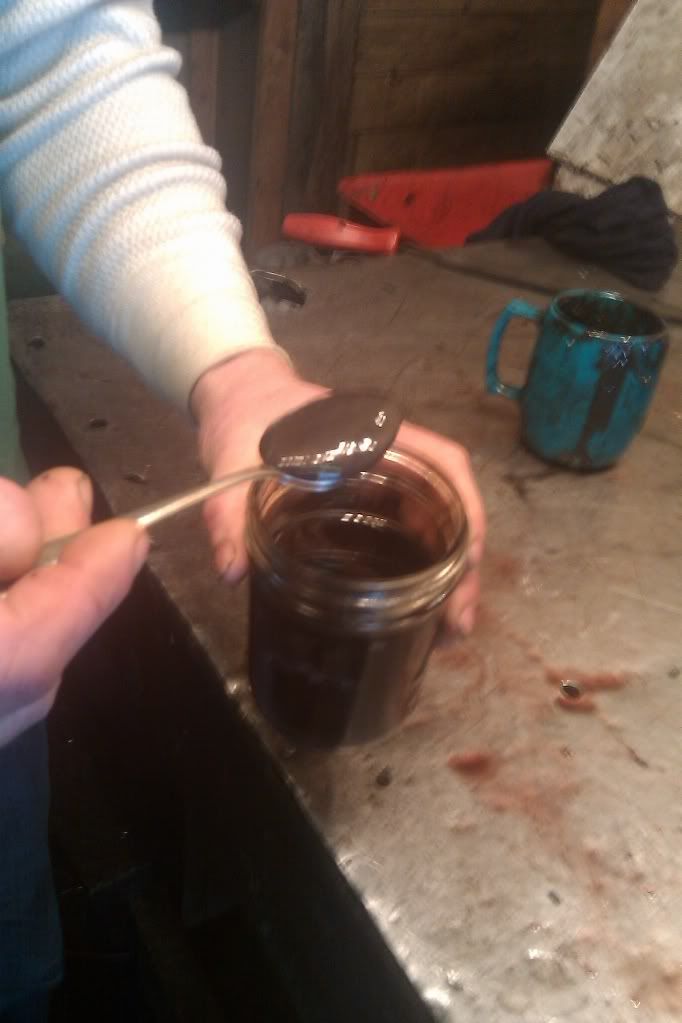 IMAG0236.jpg