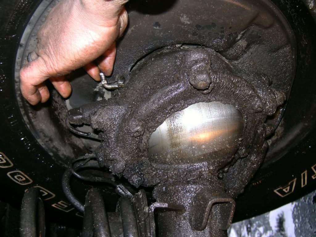 PICT0372.jpg