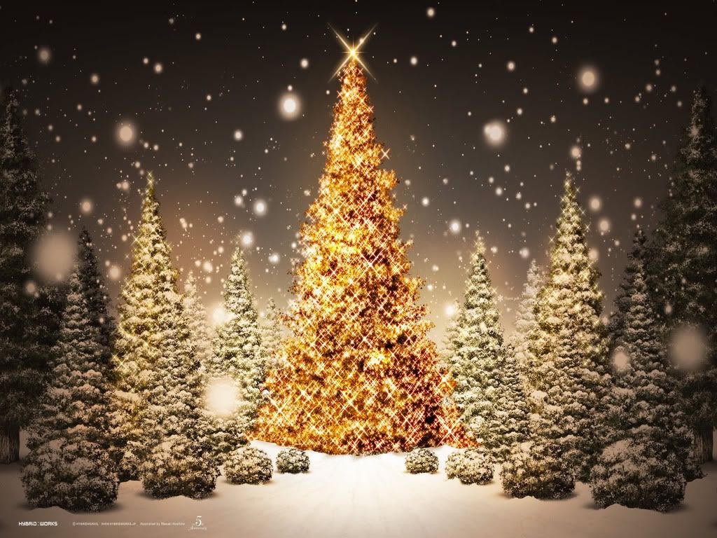 Christmas Trees Starlight Wallpaper | Christmas Trees Starlight Desktop