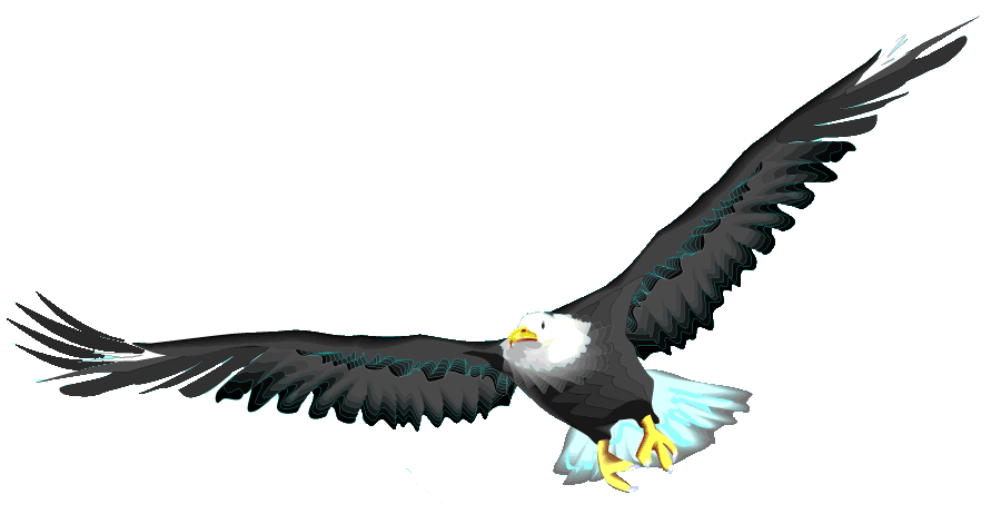 eagle flying