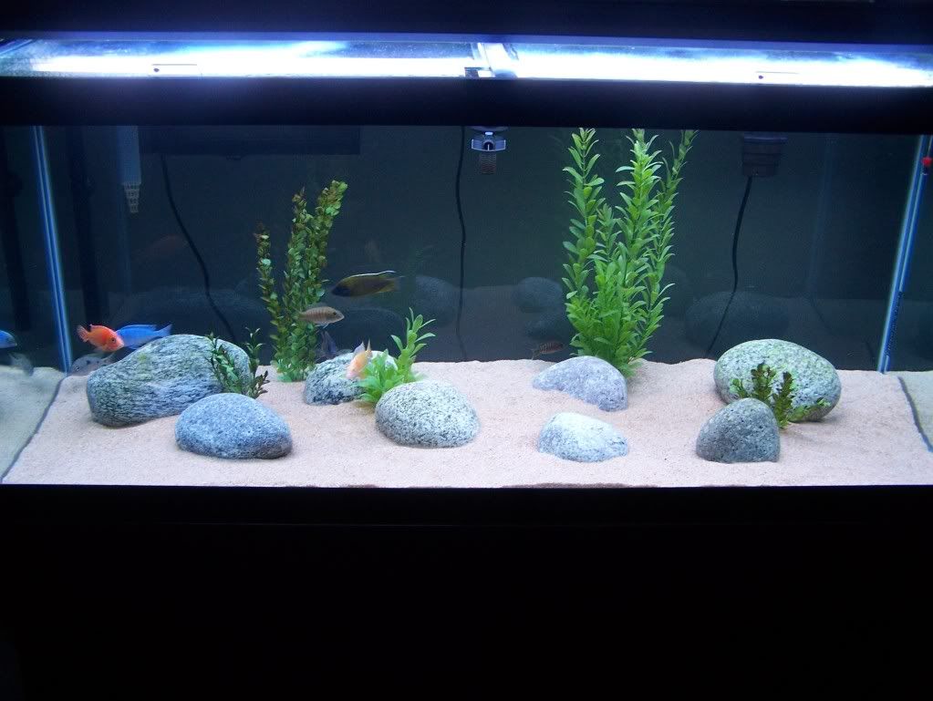 Fishstunnerschematic Powerful Aquarium Lighting General Discussion