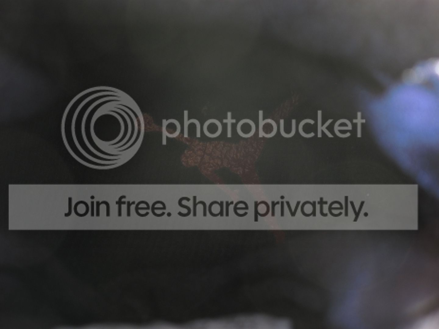  photo IMG_4558_zps510df7c0.jpg