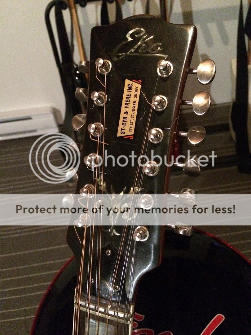 Vintage Eko 12 strings The Canadian Guitar Forum